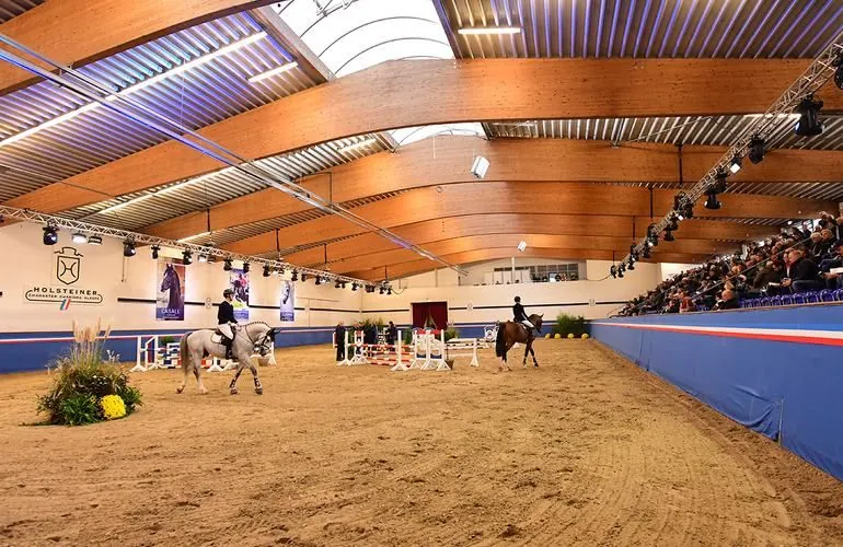 Fritz-Thiedemann-Halle in Elmshorn im Veranstaltungsbetrieb: geschwungenes Holzdach, Lichttraversen und voll besetzte Tribüne